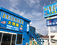 船橋習志野店